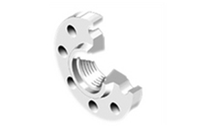 Stainless Steel Threaded FLanges